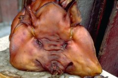 china-chengdu-pig-face