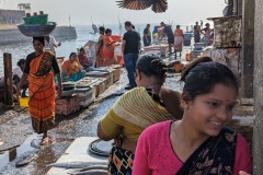 PXL_20230128_042632990