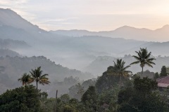 PXL_20230205_012602453