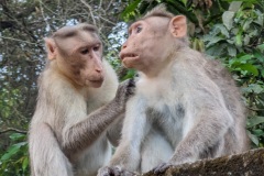 original_cc0b5277-71d7-4843-b890-0659b4bf3888_PXL_20230203_022523381