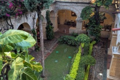 PXL_20250701_000654478