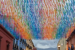 PXL_20250701_001326812