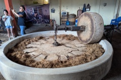 PXL_20250701_230339586