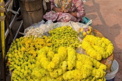 PXL_20250130_075216789-EDIT