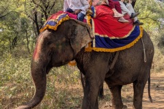 PXL_20250214_075048682.NIGHT_